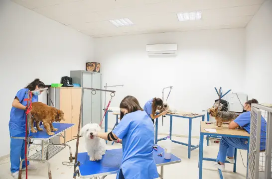 instalaciones de gas