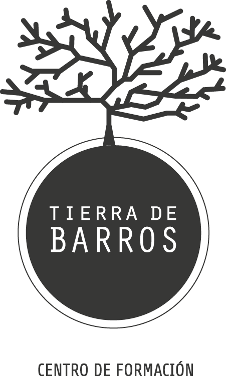 logo TIERRA DE BARROS